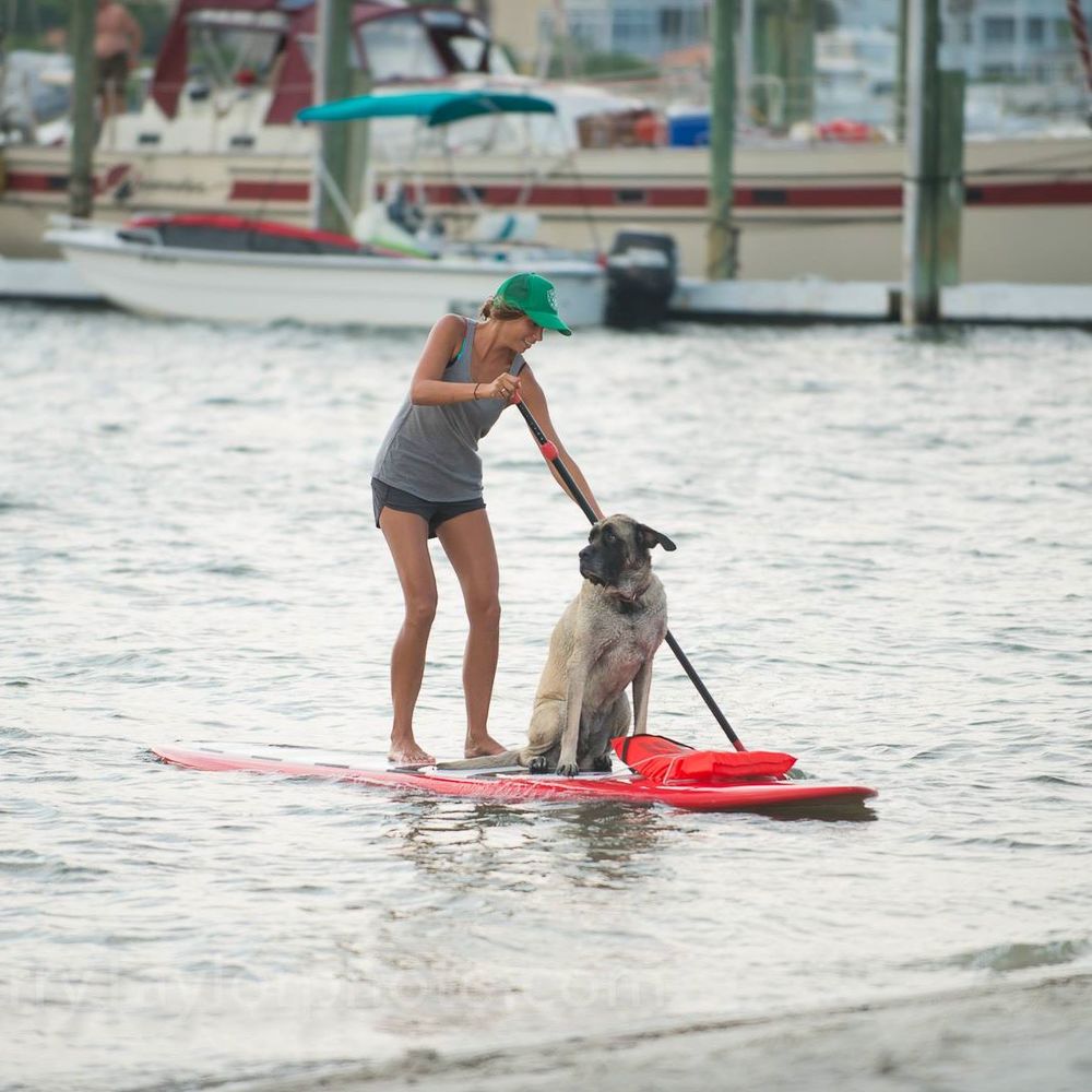 Meet your Posher, Alli